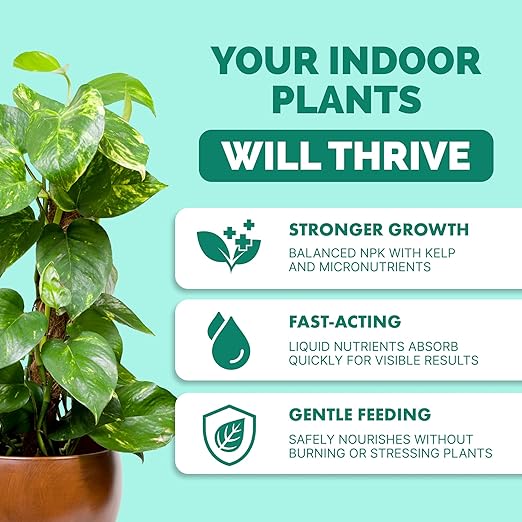 Indoor Plant Food – Liquid Fertilizer for Houseplants, New Growth, Greener Leaves, and Strong Roots, 1 Gallon
