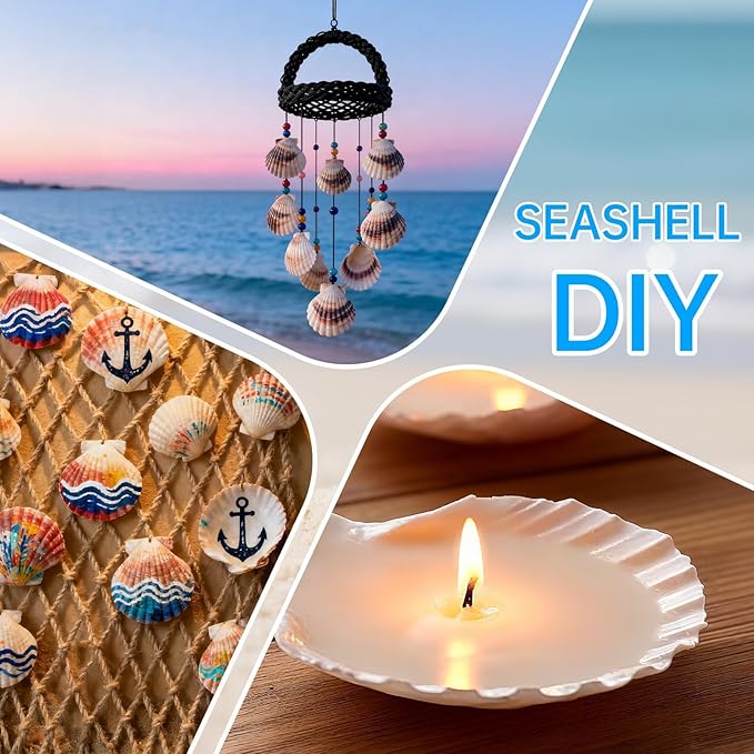 25PCS Large Scallop Shells for Crafts, 10PCS 4-5in & 15PCS 2-3in Natural Sea Shells for Painting, White Seashells Bulk for DIY Crafting, Decorating, Baking, Ocean Themed Party Supplies(2 Sizes Range)