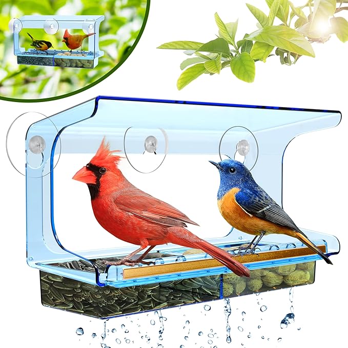 LUJII Blue Window Bird Feeder with 5 Super Strong Suction Cups, All One Piece Construction, Removable Seed Tray, Accommodates Large Birds Like Cardinals or Blue Jay for Outside Wild Bird Feeding