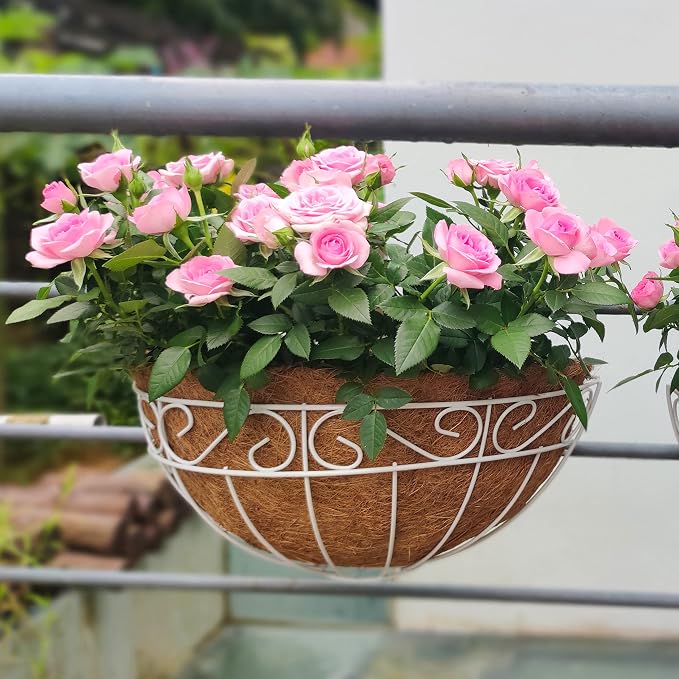 LaLaGreen Bundle- 2 Pack, 16 Inch Metal Basket with Coco Liner + 2 Pack, 16 Inch Half Round Coco Liner Replacement Wall Mount Window Hanging Fence Railings Deck Balcony Flower Pot Outdoor Modern Decor