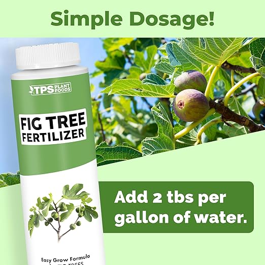 Fig Tree Fertilizer – Liquid Plant Food for Bigger Harvests, Stronger Root Development & Healthy Leaf Growth, 8 oz