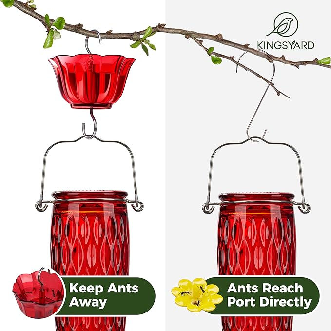 Kingsyard Hummingbird Feeders for Outdoors Hanging, 24 Ounce, Glass Hummingbird Feeder with Ant Moat & 6 Bee Guard Feeding Ports, Leak-Proof, Red