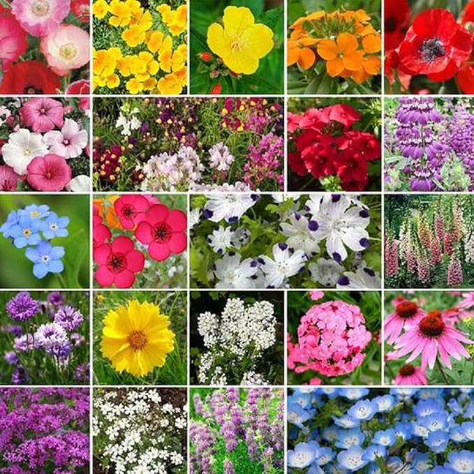 UtopiaSeeds Partial Shade Wildflower Mix Seeds