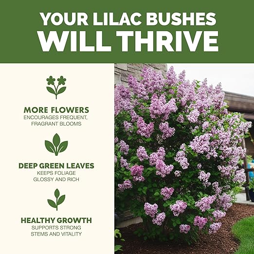 Lilac Fertilizer – Liquid Plant Food for More Blooms, Sweet Fragrance & Healthy Shrub Growth, 32 oz