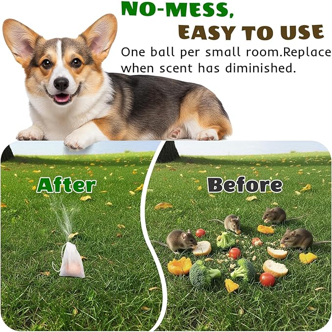 Rodent Repellent, Peppermint Oil Moth Ball to Repel Mice and Rats, Mouse Repellent, Mice Repellent, Rat Repellent, Rodent Repellent for Cars,Garden, Indoor Use (1 Count (Pack of 20))