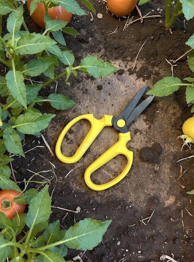 Garden Pruning Shears Set Of 3, Summer Season Meraki Garden Shears