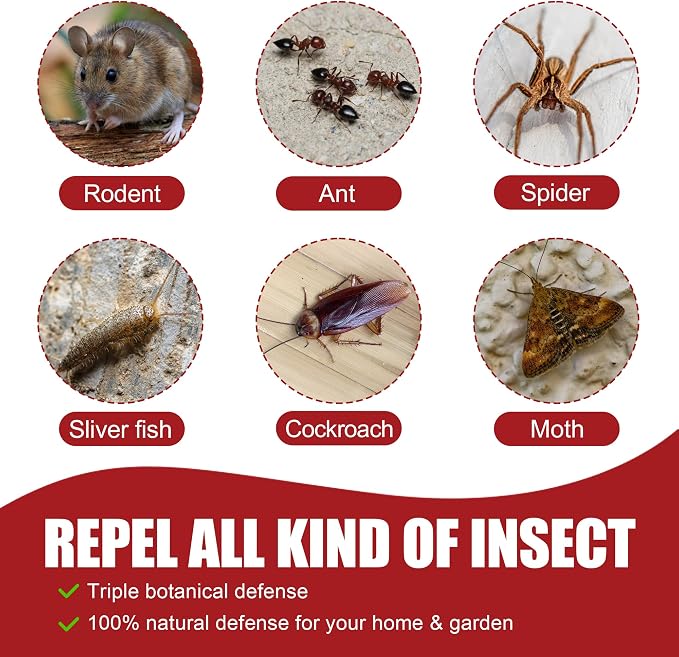 Natural Peppermint Spider Repellent Indoor, Rodent Repellent for Car Engine, Home Storage, Fresh Mint Scent, Safe for Kids and Pets