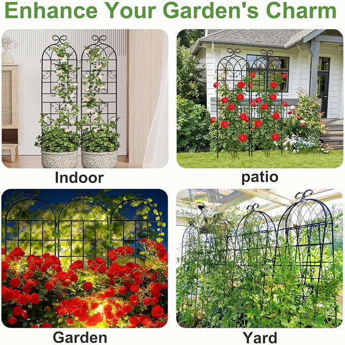 Lorenzo 2 Pcs 70 x 19.7 Inch Metal Garden Trellis for Climbing Plants Outdoor, Black Coated Frame, Plant Support for Outdoor Roses Vines Cucumber Vegetables