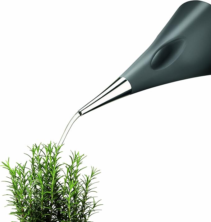 EVA SOLO | AquaStar Watering Can 2l / 0.53 Gallon / 67.6 Fluid Ounce | Pointed spout Produces an Even Flow of Water | Danish Design, Functionality & Quality | Grey