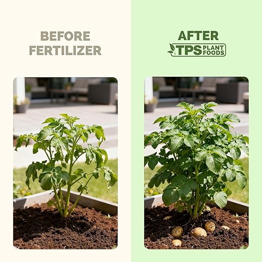Potato Fertilizer – Liquid Plant Food for Bigger Tubers, Stronger Roots & Vigorous Plant Growth, 8 oz