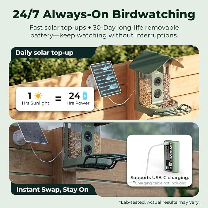 Kiwibit Smart Bird Feeder 4K AI Camera with Solar Panel, Bird Species Identification, 8MP Photos, 4K Video Livestream, Real-Time Bird Alerts, Birdwatching Gifts for Bird Lovers, Forest Birch