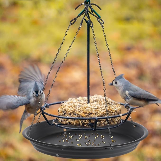 Briwooody 1 Set 12.8'' Bird Seed Catcher Tray Platform Bird Feeder Large Hanging Tray Fits Most Feeders Catches Most Falling Seed and Husk Outdoor Yard Garden Backyard for Attracting Birds, Black