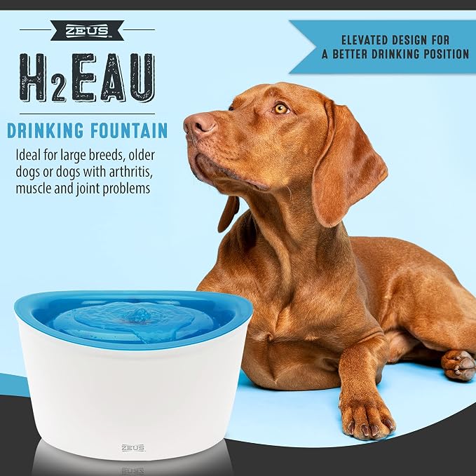 ZEUS H2EAU Elevated Dog and Cat Drinking Water Fountain with Purifying Filter, 6L Capacity (Pack of 2)