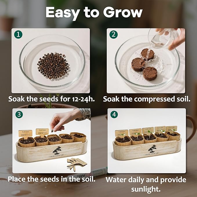 LUOJIBIE Bonsai Tree Kit for Beginners - Unique Gifts for Women, Crafts for Adults, for Women & Men,Complete Indoor Plant Kit,Easy House Plant