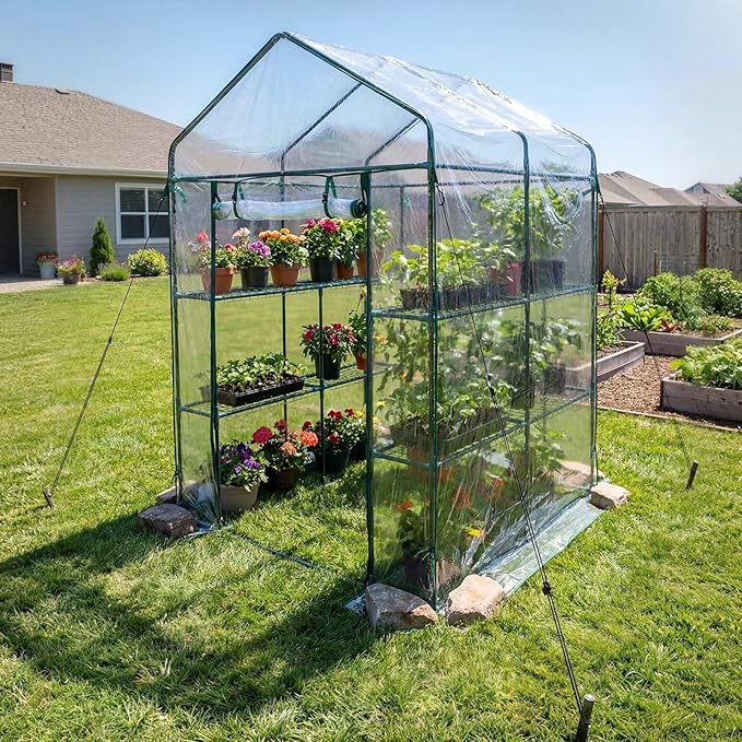 VEVOR Walk-in Greenhouse, 54" x 54" x 77.2" Greenhouse for Outdoors with PVC Cover, 2 Tiers 10 Shelves, Roll-Up Zipper Door, Walk in Green House, Portable Plant Garden Hot House for Backyard Outside