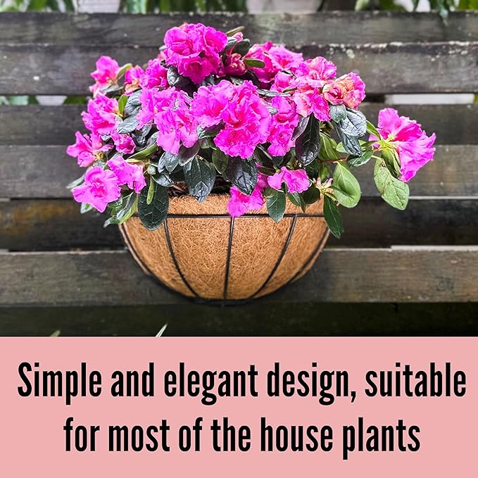 LaLaGreen 16 Inch Large Wall Planter, 2 Pack Rail Hanging Pot with Coco Liner, Black Metal Wall Mounted Flower Basket Box Outdoor Outside Fence Railing Plant Holder Deck Porch Patio Balcony Garden