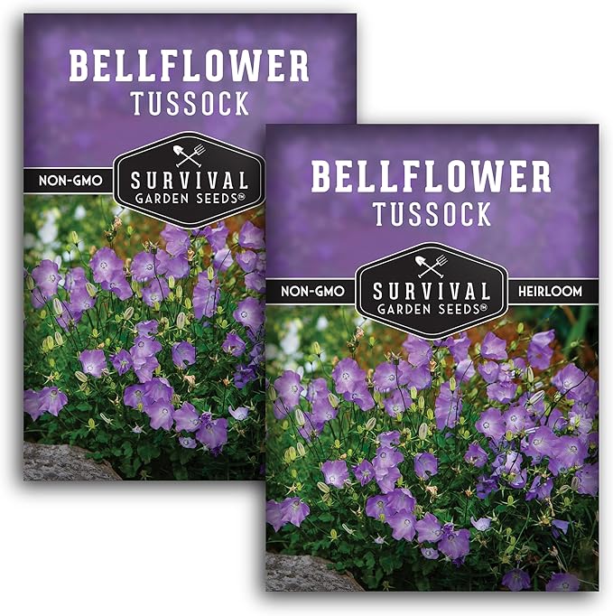 Survival Garden Seeds Tussock Bellflower Seed for Planting - 2 Packets with Instructions to Plant and Grow Campanula carpatica in Your Home Flower Garden - Non-GMO Heirloom