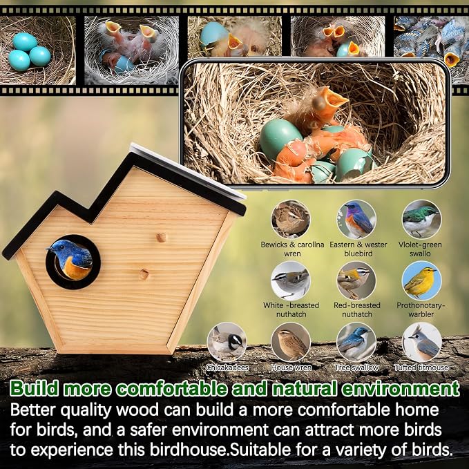 Bird House with Camera, 4MP Smart Birdhouse Camera with Solar Powered, Birdhouse Cameras for Families, Motion Detection & 32GB SD Card, Watch Bird Nesting & Hatching in Real Time
