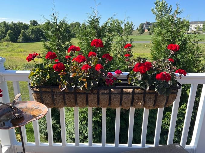 Window Box Planters with Coco Liners, Rustproof Metal Hanging Flower Boxes for Outdoor Railing, Fence and Window Sill (36Inch/6PACKS)