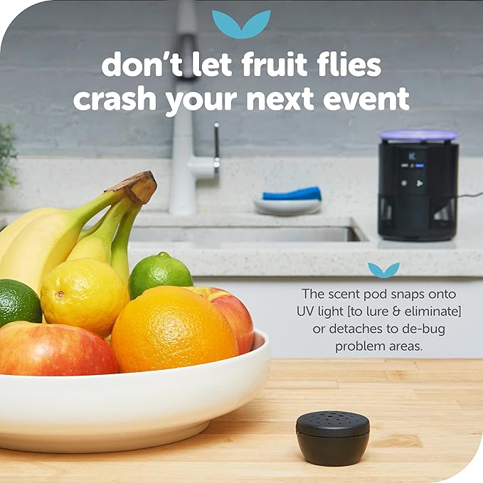 Katchy Duo – Indoor Fly Trap with Scent Pod – Day & Night Effective – Mosquito, Fruit Fly, Gnat & Small Moth Killer – Non-Zapper Trap with UV Bug Light & Fan Suction (White)