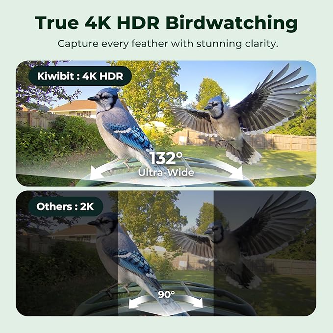 Kiwibit Smart Bird Feeder 4K AI Camera with Solar Panel for Outdoors, Bird Species Identification, 8MP Photos, 4K Video Livestream, Real-Time Bird Alerts, Birdwatching Gift for Bird Lovers, Sage Pine