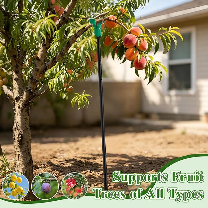 Adjustable Tree Support Pole with Crutch, Heavy Duty Fruit Tree Branch Support to Prevent Breakage, Adjustable 34–74” (2 Pack)