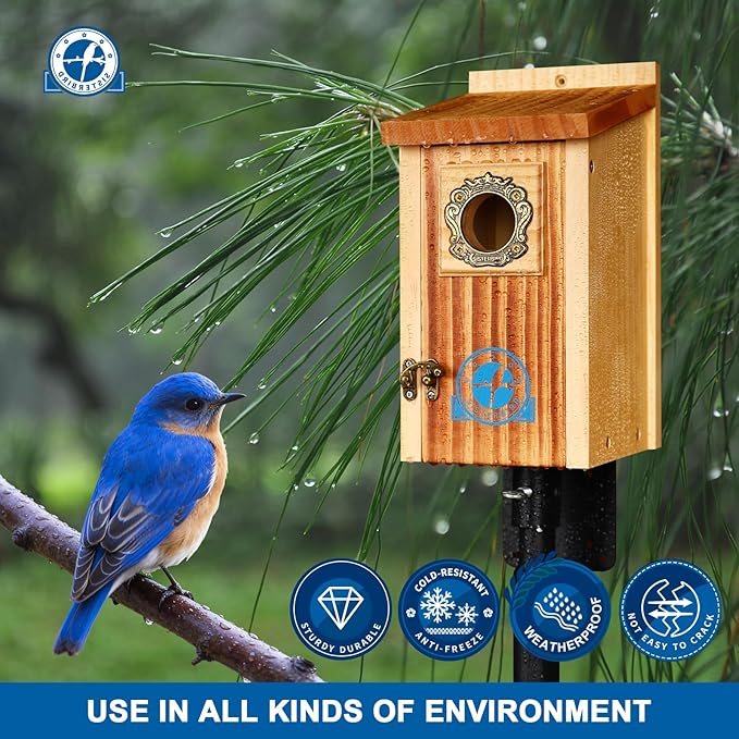 SISTERBIRD Preminum Bluebird Houses for Outside, Wooden Bluebird House, Birdhouses for Outdoors Courtyard, Festival Bird Nesting, Assembly Bird Box, Bluebird Finch Swallow Wren Chickadee