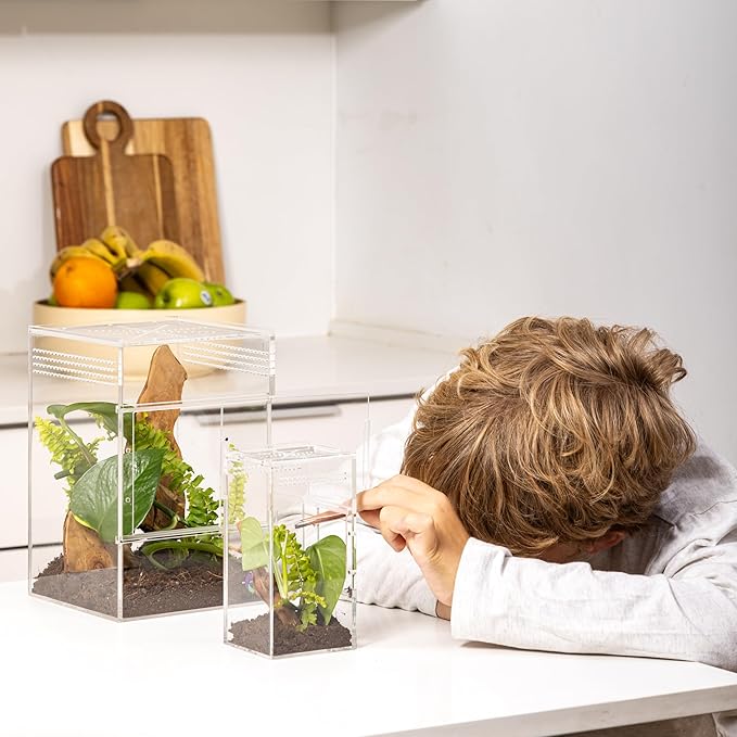 EctoTherm Jumping Spider Enclosure - for Habitat, Terrarium Kit and Arboreal Tarantula Enclosure