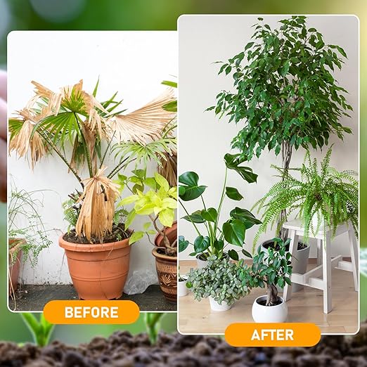 2Pcs Soil Activator, Soil Pro Activator, Nauticos SoilActivator, Organic Soil Activators and Plant Fertilizers Enhance Growth for Vegetables & All Plants