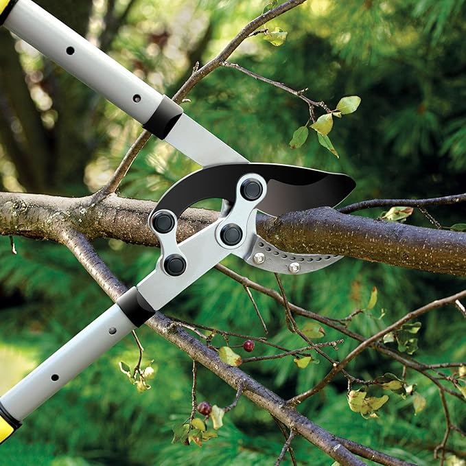 Jardineer Loppers for Tree Trimming Heavy Duty with Compound Action, Labor-Saving Branch Cutter with 2 Inch Capacity, 5-Level Extendable 28-39 Inch Telescoping Handle Tree Trimmer for Yard Work