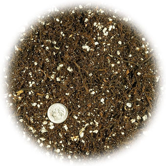 Gardenera Fern + Perlite Soil Mix for Repotting and Planting Succulents and Cactuses - 4 Quart Bag