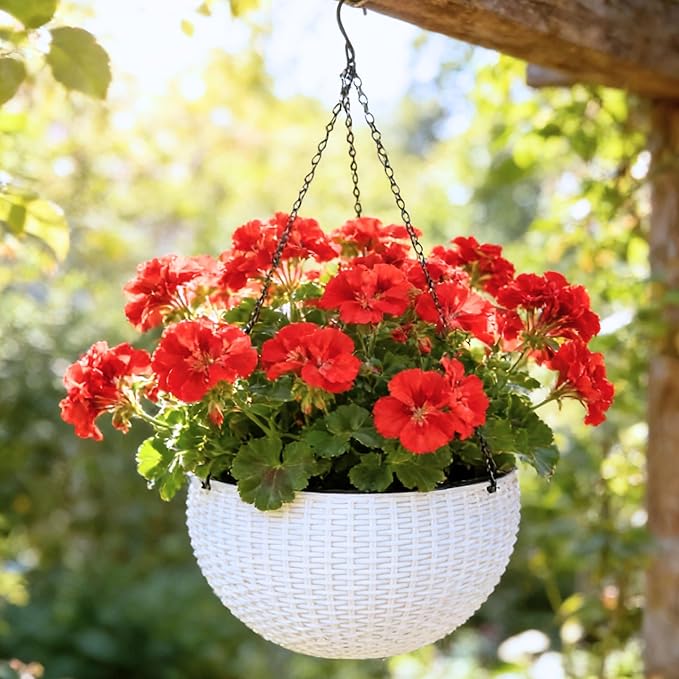LaLaGreen Indoor Hanging Planter (11 Inch, 1 Pack) Self-Watering Round Flower Pot with Water Level Indicator, White Rattan Style Hanging Basket with Metal Chain for Balcony, Porch, Deck, Garden Decor