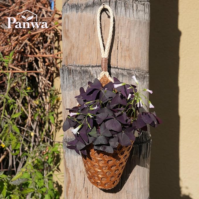 Thai Coconut Fiber Hanging Plants Flowers Basket for Patio Summer Outdoor Outside Decoration (4 Inch 2-Pack)