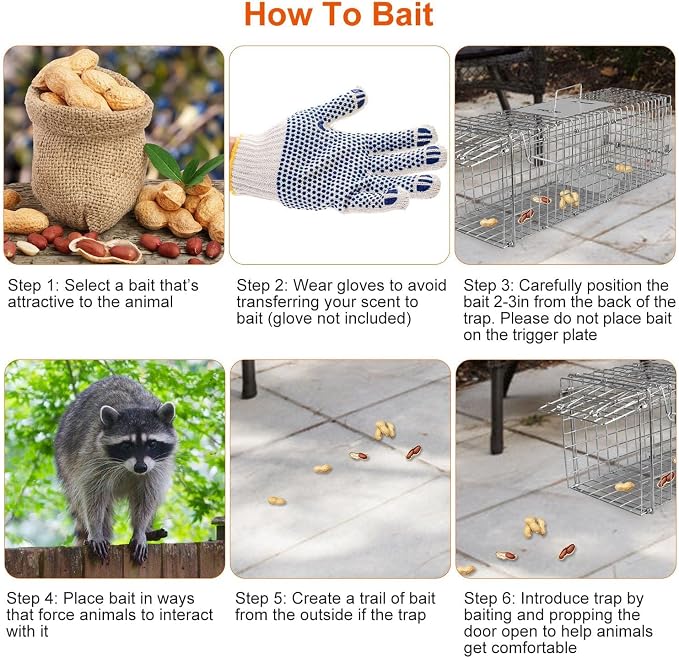 TeqHome Live Animal Cage Trap, Collapsible Humane Live Animal Cage Trap, Galvanized Steel Humane Live Trap Cage for Rabbit,Stray Cat, Groundhog, Raccoon,Squirrel,Chipmunk,Mole,Gopher,Skunk,24"x8"x8"