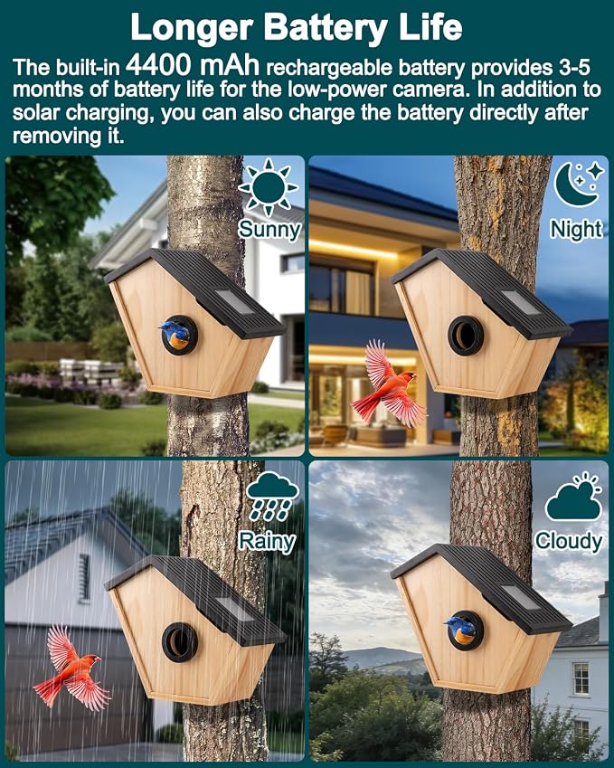 Bird House with Camera, Wireless Birdhouse for Outside with 2K HD Camera, 2.4G WiFi, App Notify, Solar Powered, Night Vision, AI Identify, Ideal Bird Nesting for Blue Bird and Cardinal
