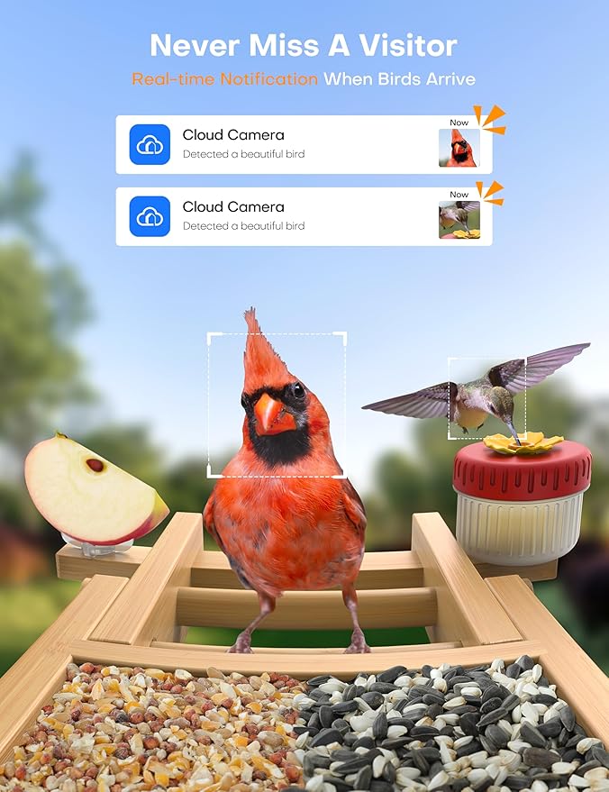 Bird Feeder with Camera: 160° Wide View & 2.5K Live Video, AI Auto Identify 12000+ Birds Species, Instant Arrival Alerts, Eco Natural Bamboo Build, Solar Smart Bird Feeders for Outdoors