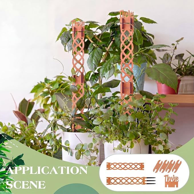 6 Sets Wooden Extendable Plants Trellis Indoor Modular Plant Trellis with Wood Thrive Sign Decor and Extensions for Outdoor Climbing Houseplants Vine Flower Stem(Diamond)
