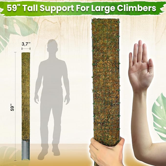 DUSPRO 59’’ D-Shape Moss Pole for Climbing Plants Monstera Moss Plant Pole Handmade Moss Stick for Indoor Plants Grow Upward (59'', 1pc.)