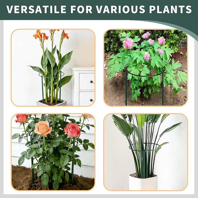 TCBWFY 4 PCS Plant Supports 16" Dx46 H Peony Cages and Supports,6mm Thick Metal Wire Heavy-Duty Garden Stakes for Indoor & Outdoor Plants,Ideal for Peony,Tomato,Hydrangea,Rose