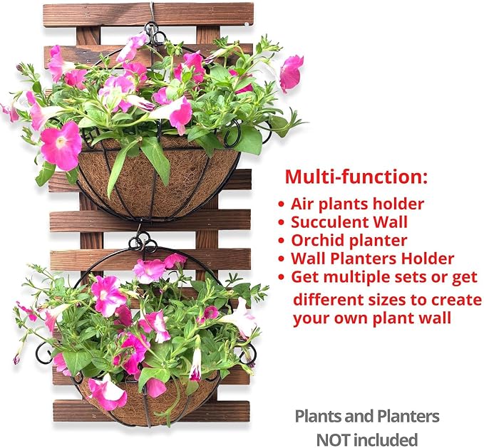 ShopLaLa Bundle - Wooden Plants Holder + 2 Hanging Baskets with Coco Liners Wall Mounted Plant Flower Baskets Vertical Garden Wall Decor LaLaGreen