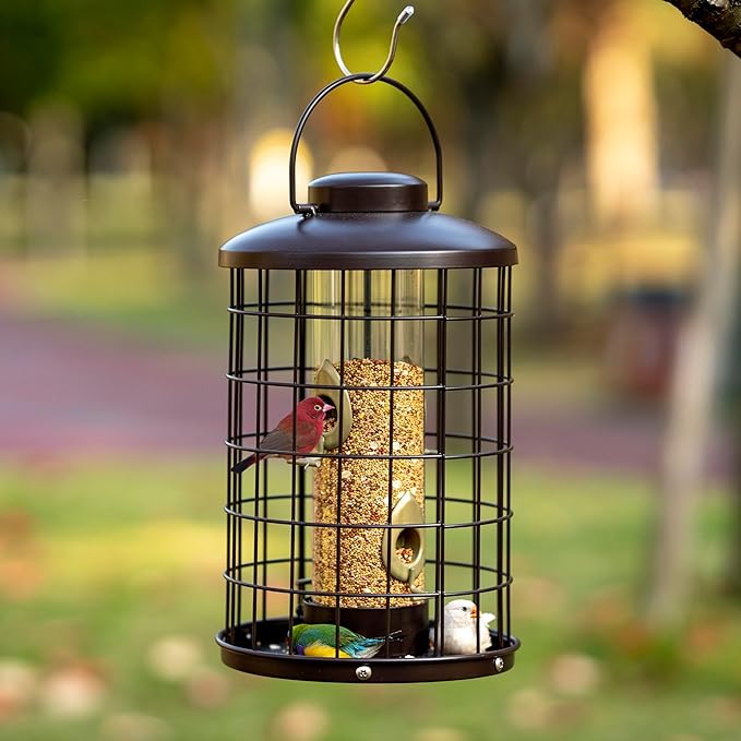 Mosloly Caged Bird Feeders Metal - 3 Lbs - Squirrel-Proof Wild Bird Feeders, Clear Tube Feeders Hanging Outside Starling Proof, Detachable Cleaning, 4 Feed Ports(Copper)