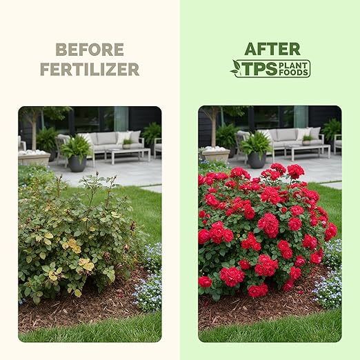 Rose Bush Fertilizer – Liquid Plant Food for More Blooms, Bigger Flowers & Stronger Stems, 32 oz
