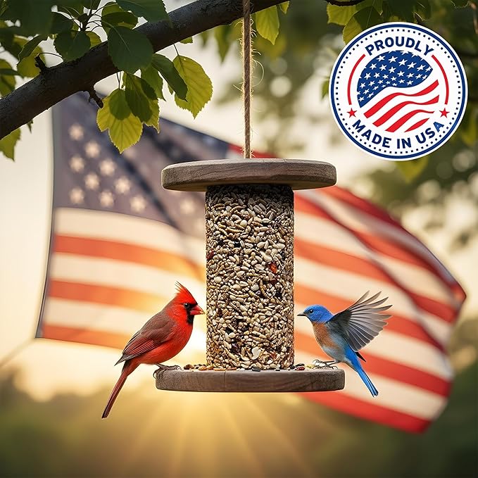 Bugs, Nuts & Berries Bird Seed Cylinders with Hole – Wild Bird Food for Blue Birds, Woodpeckers, Cardinals & More – Premium Protein-Rich All Natural Blend, No Fillers – USA Made (4" x 7.75")