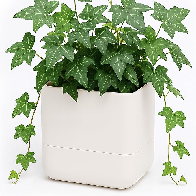 Phoenix Vine 6.5 Inch Wall Mounted Self-Watering Planter Pot for Indoor Houseplants and Herbs | Hanging Planter for Window Sills, Bathroom Walls, Home & Office Décor, Oatmeal, Set of 1, 01-C-G-1