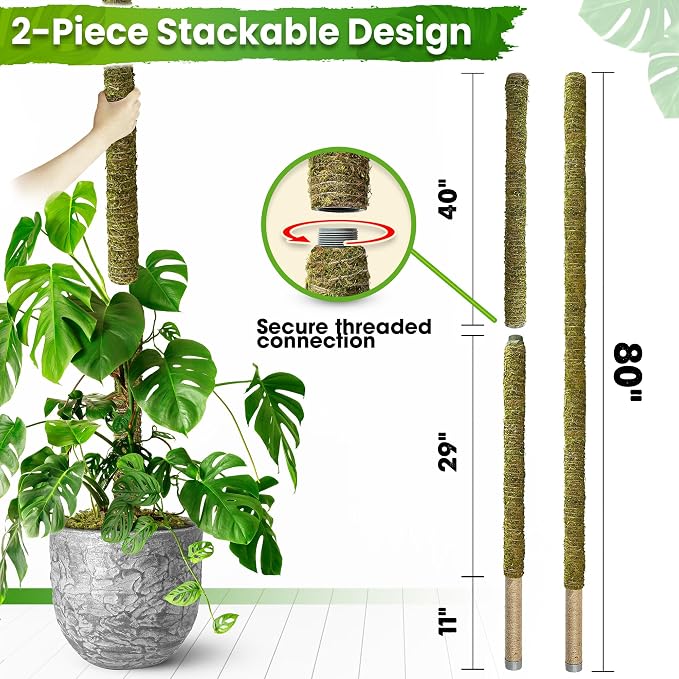 DUSPRO 80 Inches Large Moss Pole for Plants Monstera, Plant Stakes for Indoor Plants, Monstera Plant Support, Plant Support/Plant Pole for Big Climbing Plants Indoor (1pc., 80'')