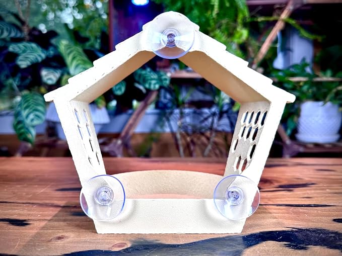 Window Bird Feeder for Outdoors Weatherproof Bird Feeder with Strong Suction Cups, Bird Watching for Cats, Easy to Clean Outdoor Birdhouse Feeder, Original Design Made in USA (Desert Tan)