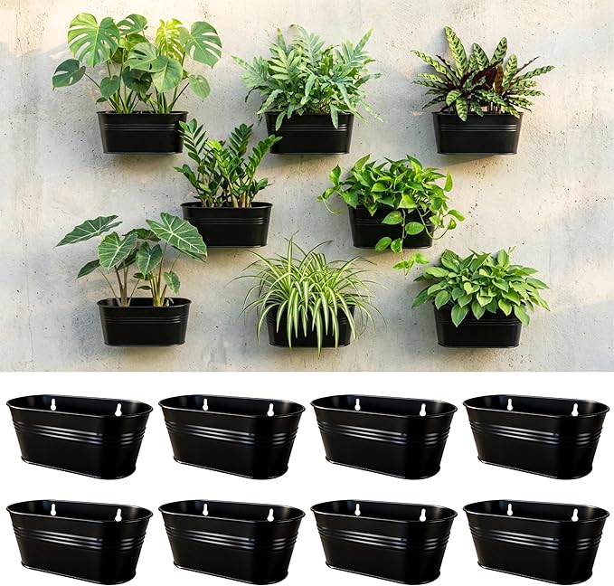 LaLaGreen Wall Planter (9.8 Inch, 8 Pack) Black Oval Metal Hanging Decor Plant Holder Indoor Wall Planters for Indoor Plants Porch Plants Balcony Decoration Mounted Window Planters Pots Pot Baskets