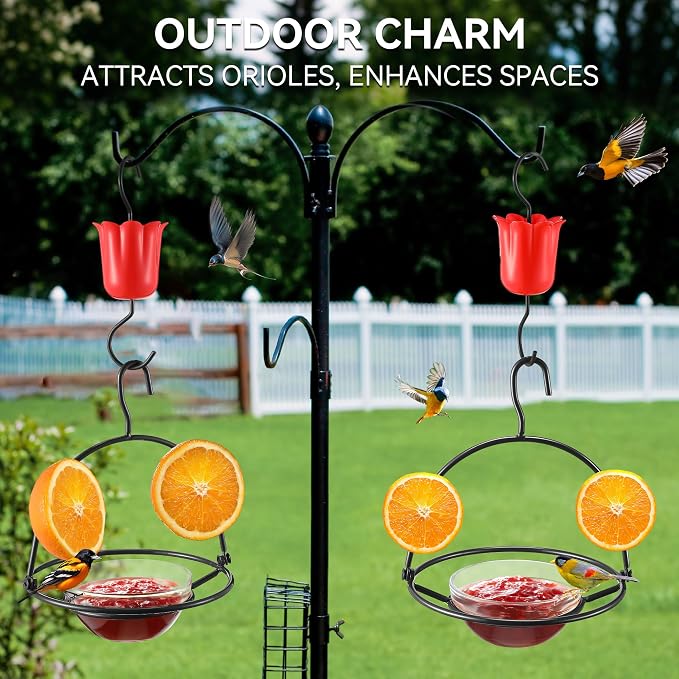 2 Pack Metal Oriole Feeders for Outdoors Hanging with Ant Moat and Fruit Holder, Oriole Feeder with Glass Bowl, Easy to Disassemble and Wash, Bird Feeder for Garden, Outdoor, Gift(Black)