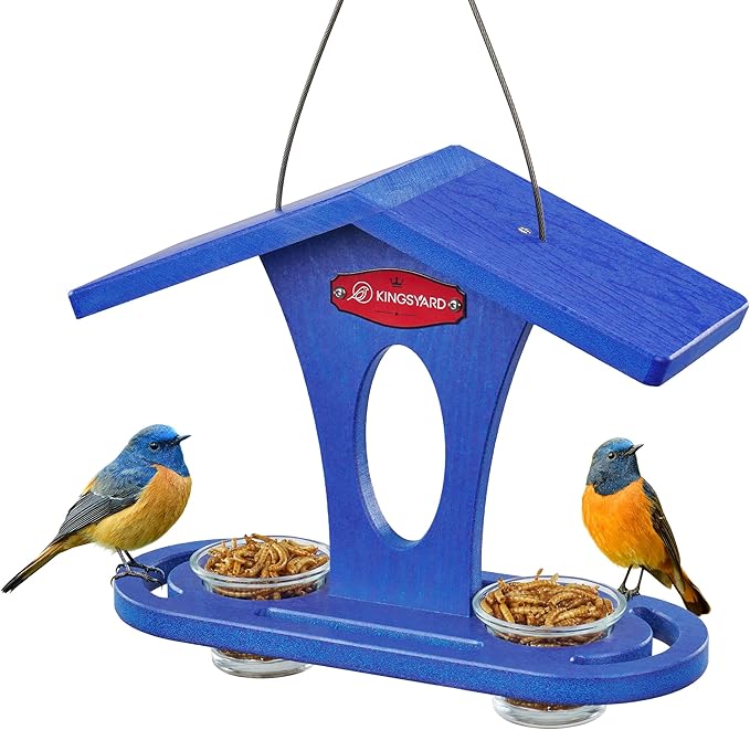 Kingsyard Bird Feeder for Outdoor Hanging, Recyceled Plastic Bluebird Feeders for mealworm, Two Dishes w/ 5 oz, Durable & Weatherproof, for Bird Lovers, Blue