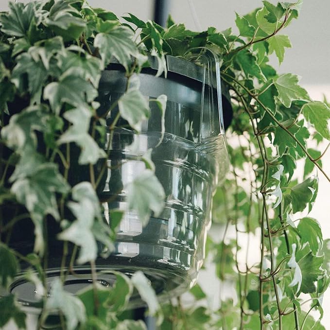 12 Pack Hanging Plant Water Catcher Tray, 8"+10"+12" Clear Drip Pan Saucers (4P/Size) for Hanging Planters & Pots, Indoor Self Watering Accessories for Hanging Plant Baskets (Mix Sizes 12P)